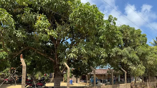 Prova técnica de campo reacende esperança da Família Vieira e pode selar posse de terras em Riacho Doce | Notícias Prova técnica de campo reacende esperança da Família Vieira e pode selar posse de terras em Riacho Doce | Notícias