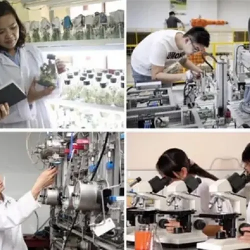 Quem pode se tornar um perito forense na área de ciência e tecnologia? Quem pode se tornar um perito forense na área de ciência e tecnologia?