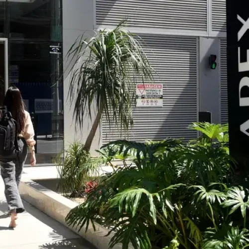 Caso Apex: perito judicial só analisou 23 empresas por falta de documentos Caso Apex: perito judicial só analisou 23 empresas por falta de documentos