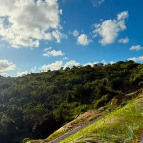 Prova técnica de campo reacende esperança da Família Vieira e pode selar posse de terras em Riacho Doce Prova técnica de campo reacende esperança da Família Vieira e pode selar posse de terras em Riacho Doce