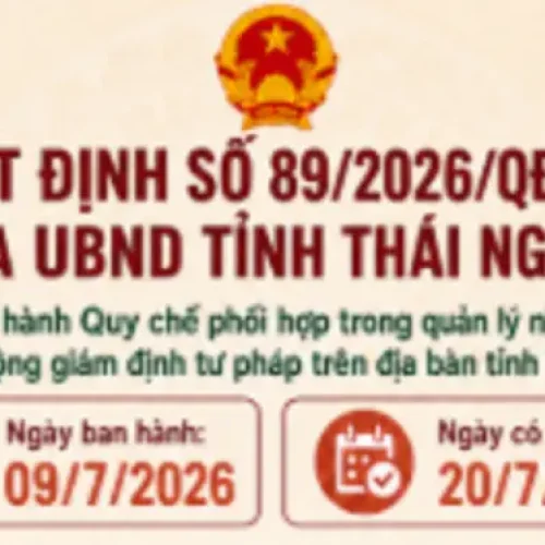 A província de Thai Nguyen emite regulamentos sobre a coordenação na gestão estatal das atividades de perícia forense. A província de Thai Nguyen emite regulamentos sobre a coordenação na gestão estatal das atividades de perícia forense.