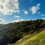 Prova técnica de campo reacende esperança da Família Vieira e pode selar posse de terras em Riacho Doce Prova técnica de campo reacende esperança da Família Vieira e pode selar posse de terras em Riacho Doce