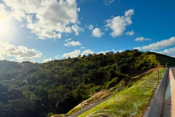 Prova técnica de campo reacende esperança da Família Vieira e pode selar posse de terras em Riacho Doce Prova técnica de campo reacende esperança da Família Vieira e pode selar posse de terras em Riacho Doce