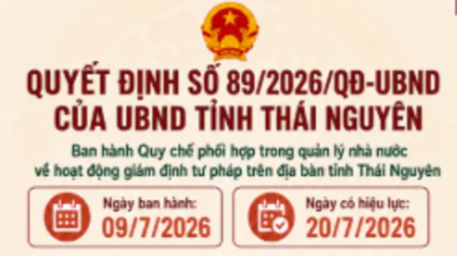 A província de Thai Nguyen emite regulamentos sobre a coordenação na gestão estatal das atividades de perícia forense. A província de Thai Nguyen emite regulamentos sobre a coordenação na gestão estatal das atividades de perícia forense.
